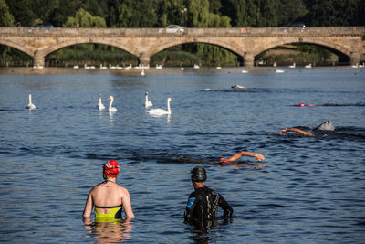 View of ducks on bridge over river