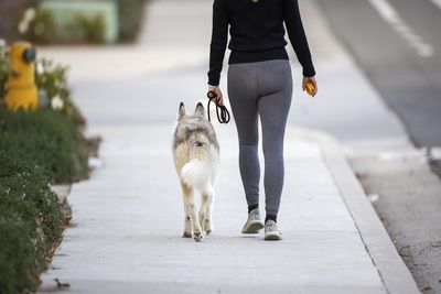 Low section of man with dogs walking on street