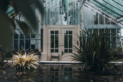 Greenhouse door with pool and plants
