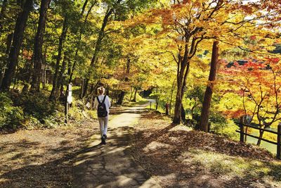 Man walking on footpath in forest