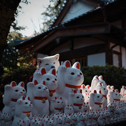 animal representation