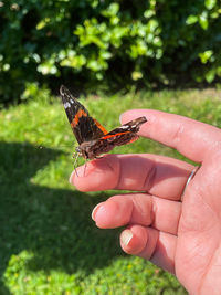 Butterfly on hand