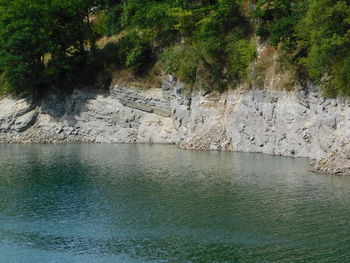 Scenic view of river amidst trees