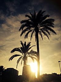 Silhouette palm trees against sky during sunset