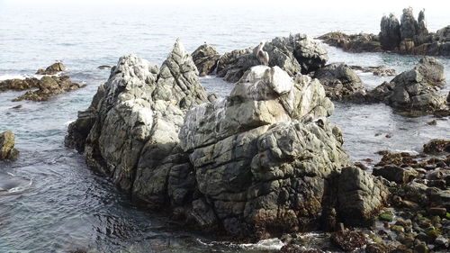 Panoramic shot of rocks on beach against sky