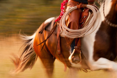 Low section of cowboy riding horse on field