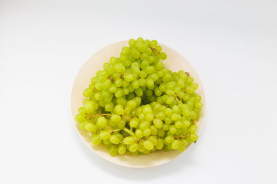 High angle view of fruits in bowl against white background