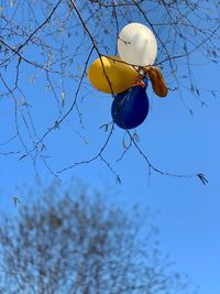 Low angle view of toy on tree against sky