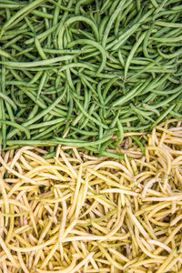 Green and yellow raw beans.