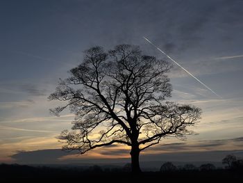 Silhouette tree against sky during sunset