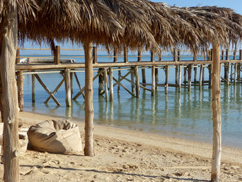 Palm trees on beach