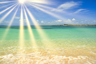 Beautiful coral reef sea in okinawa