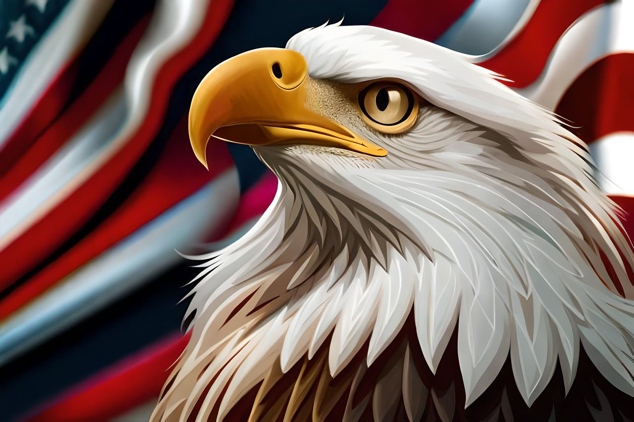 bird, animal, animal themes, animal body part, eagle, beak, one animal, bald eagle, cartoon, animal wildlife, wildlife, no people, wing, close-up, bird of prey