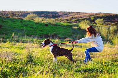 Full length of a dog on landscape