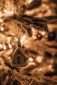 Close-up of illuminated christmas tree