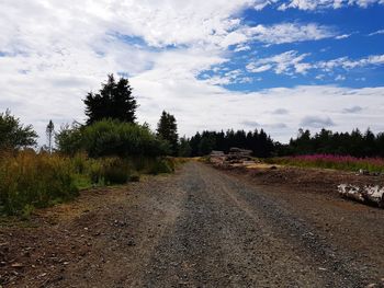 Road amidst trees against sky