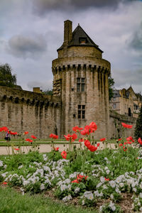 Red flowering plants in front of building