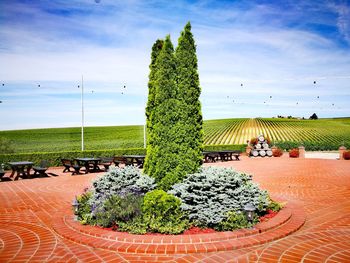 View of plants against the sky