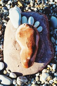 Close-up of pebbles on rocks