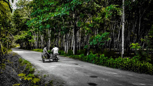 Motorcycle on road amidst trees in city