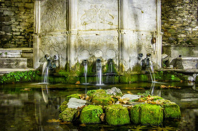 Moss covered rocks in pond against fountain