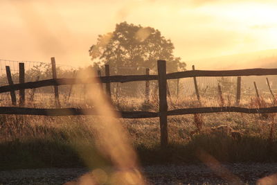 Golden hour at sunrise in kent, uk