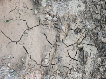 cracked