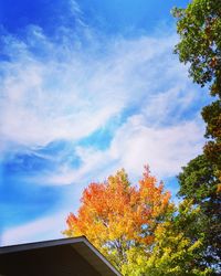 Low angle view of trees against cloudy sky