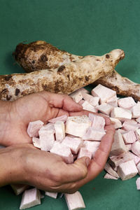 Cropped hand of man holding seashell