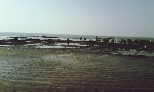 Scenic view of beach against clear sky