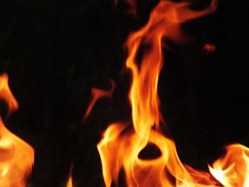 Close-up of bonfire against black background