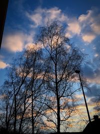 Low angle view of silhouette bare tree against sky