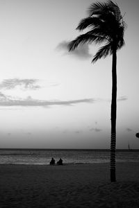 Silhouette palm tree on beach against sky