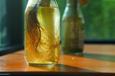 Close-up of drink in glass on table