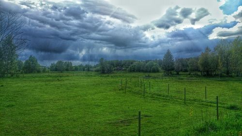 Scenic view of grassy field against cloudy sky