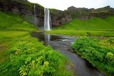 Scenic view of waterfall