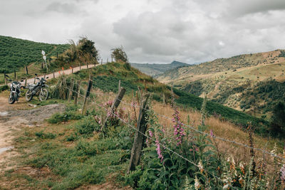 Scenic view of grassy field against sky
