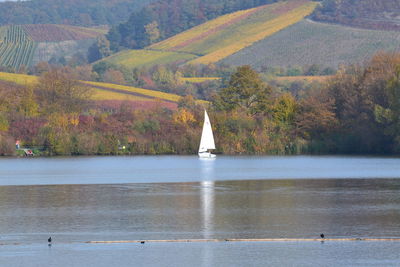 Scenic view of lake by trees