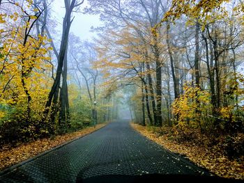 Road amidst trees in forest during autumn