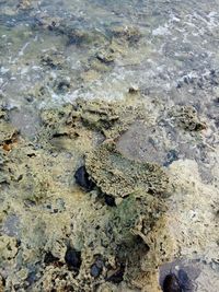 High angle view of sand on beach