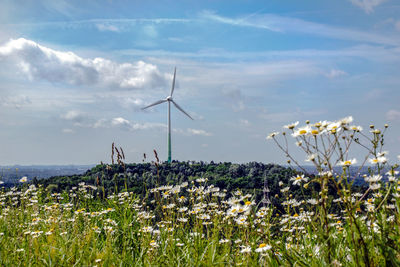 Plants growing on field against sky, wind turbine