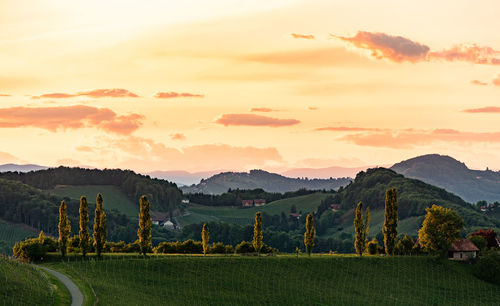 South styria vineyards landscape, near gamlitz, austria, europe. grape hills view from wine road 