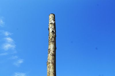 Low angle view of tree against blue sky