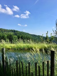 Scenic view of landscape against sky