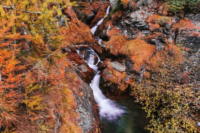 Scenic view of waterfall in forest during autumn