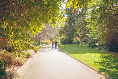 Rear view of people walking on road amidst trees