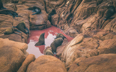 Rock formations in cave