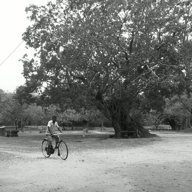 Plonnaruwa