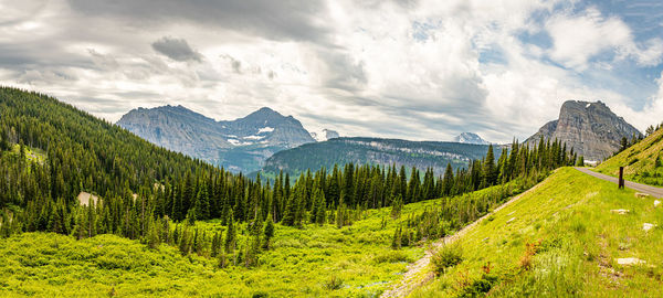 Panoramic view of pine trees and mountains against sky