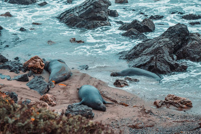 High angle view of sea